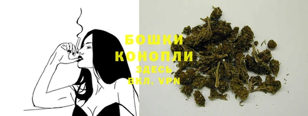 винт Костерёво