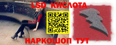 spice Кингисепп