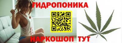 сатива Кинель