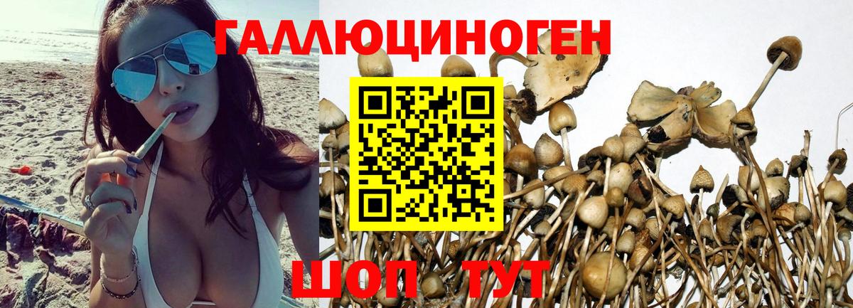 Псилоцибиновые грибы Magic Shrooms  Псилоцибиновые грибы MAGIC MUSHROOMS  Кудымкар  Вход с VPN 